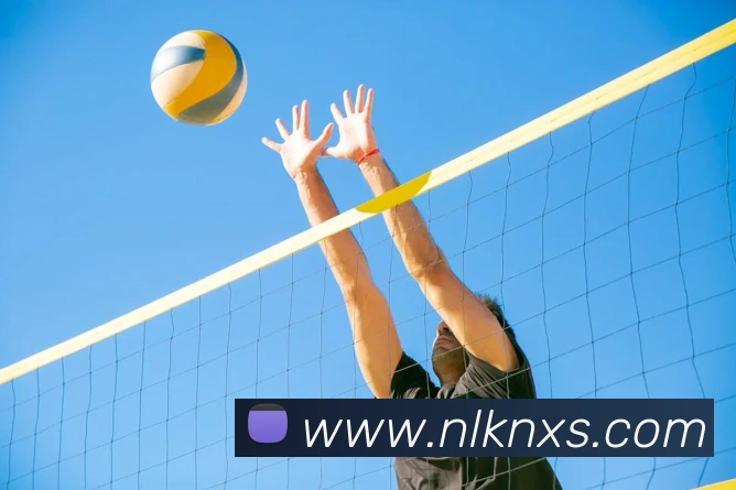 世界杯体育app官网品牌故事