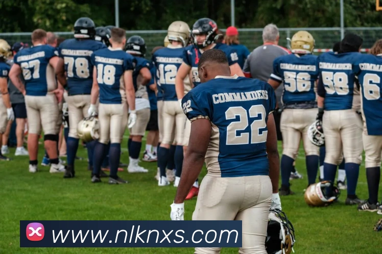 世界杯体育app官网服务体系